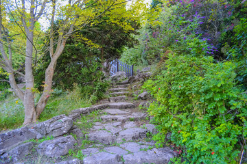 Wooden bridge in the park