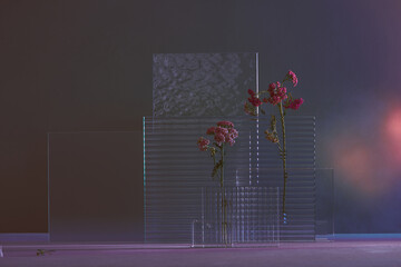 Gloss acrylic plates with flowers on a dark background. Stylish background for presentation.