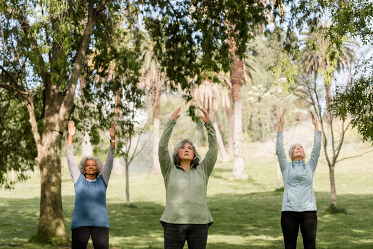 Three Older Women Practice Yoga in the Park