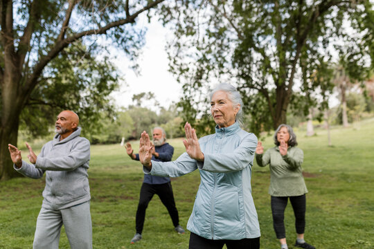 Group of Elders Meet in the Park to Workout