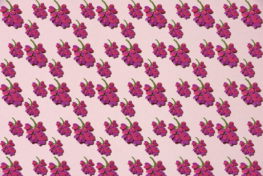 Seamless pattern grapes bunch on pink background. Summer design. Fruit made of paper.