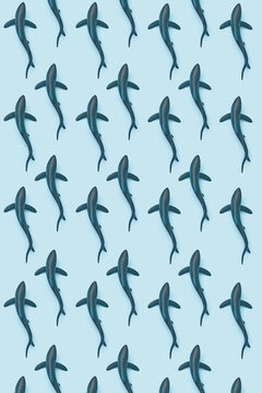 Pattern of plastic sharks
