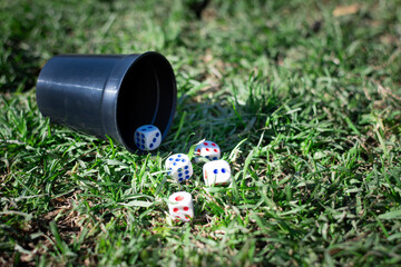 Black goblet with white dice with blue or red values, scattered on the grass