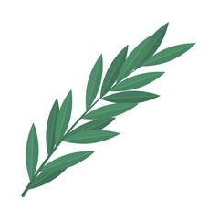 olive branch icon