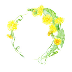 Watercolor round frame from dandelions, leaves, buds and stems. Wreath of bright summer flowers for invitation, menu, greeting cards