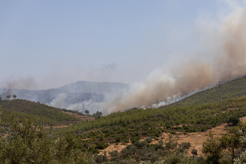 Forest fire at at Mugla Bodrum Turkey Summer 2021