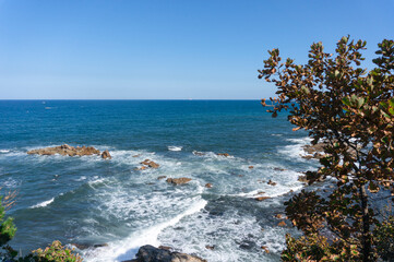 한국 강원도 여름 바다 풍경
