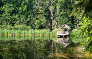 Fototapeta premium Fishing pier in an idyllic woodland pond with grasses and water reflection
