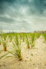 Atlantic City Board Walk View 