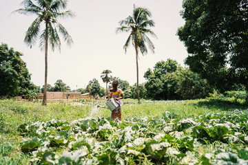 Young African girl standing under palm trees amid a cultivated field, watering cabbage plants