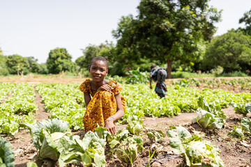 Two small girls working in their family's field weeding lettuce in a rural village in West Africa