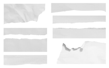 ripped paper on white background and have copy space for design in your work.