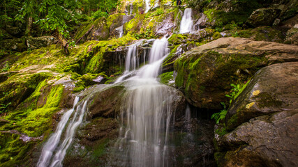 Fototapeta na wymiar Dark Hollow Falls waterfall in Shenandoah