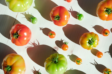 Variety of Colorful Organic Tomatoes