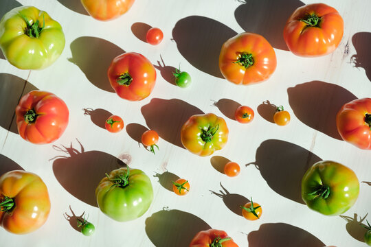 Variety of Garden Fresh Tomatoes
