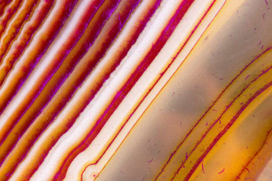 Agate Lines 