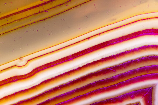 Lines of a Dragon Vein Agate