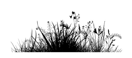 Grass silhouette. Monochrome grass with flowers. Vector illustration