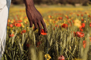 Touching flowers