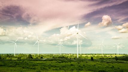 wind mill energy farm