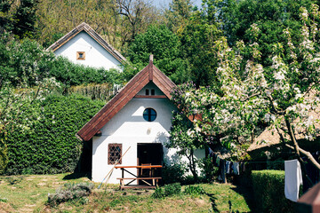 Countryside cottage house and garden