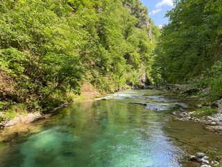 Mountain river Radovna in the Vintgar Gorge or Bled Gorge - Bled, Slovenia (Triglav National Park) - Bergfluss Radovna in der Vintgarklamm oder Vintgar Klamm - Bled, Slowenien (Triglav-Nationalpark)