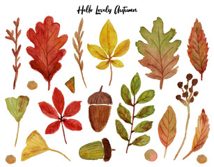 autumn leaves collection