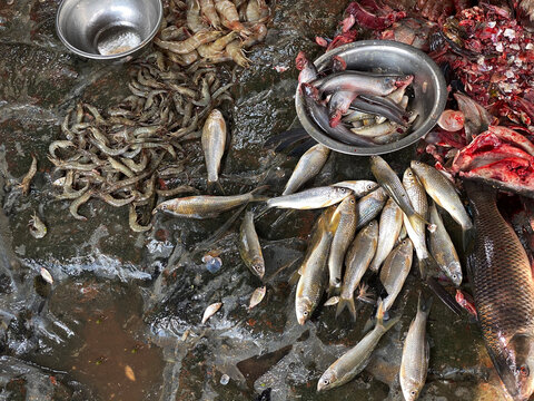 Small fishing stall for selling retail selling