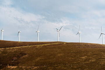 Windmills producing alternative energy in green meadow
