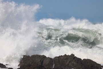 waves crashing on rocks Wellington Coastline New Zealand 