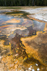 Geothermal formations in Yellowstone National Park. 