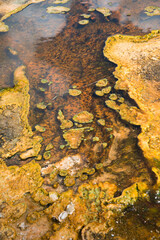 Geothermal formations in Yellowstone National Park. 