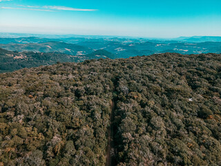 ESTRADA NO MEIO DA MATA 