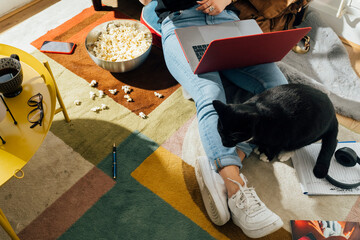 Cat sitting with his Owner Home