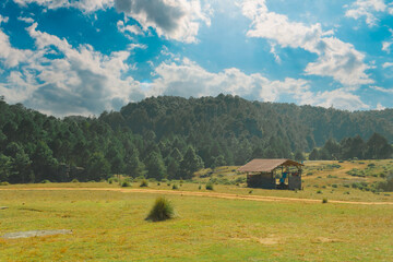 Visit to the National Park 