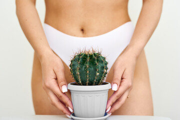 The girl holds a large cactus in the groin or bikini area. The concept of intimate hygiene, epilation and depilation, deep bikini shaving - obrazy, fototapety, plakaty