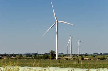 Landscape of energy efficient wind turbine at the countryside near Tarariras, Colonia