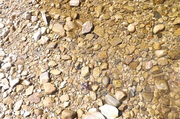 Path in the forest- Path in the forest - Walking in nature