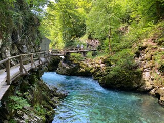 Naklejka premium Hiking trail through Vintgar Gorge or Bled Gorge - Bled, Slovenia (Triglav National Park) - Wanderweg durch die Vintgar-Schlucht oder Vintgarklamm - Bled, Slowenien (Triglav-Nationalpark)