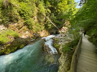 Foto op Canvas Hiking trail through Vintgar Gorge or Bled Gorge - Bled, Slovenia (Triglav National Park) - Wanderweg durch die Vintgar-Schlucht oder Vintgarklamm - Bled, Slowenien (Triglav-Nationalpark) © Mario