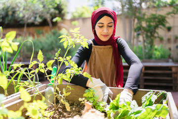 Cheerful gardener cultivating green plants in garden