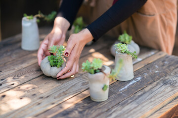Crop gardener with potted plants at table