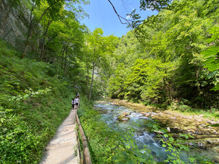Hiking trail through Vintgar Gorge or Bled Gorge - Bled, Slovenia (Triglav National Park) - Wanderweg durch die Vintgar-Schlucht oder Vintgarklamm - Bled, Slowenien (Triglav-Nationalpark)