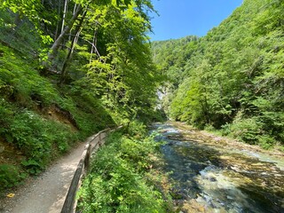 Fototapeta na wymiar Hiking trail through Vintgar Gorge or Bled Gorge - Bled, Slovenia (Triglav National Park) - Wanderweg durch die Vintgar-Schlucht oder Vintgarklamm - Bled, Slowenien (Triglav-Nationalpark)