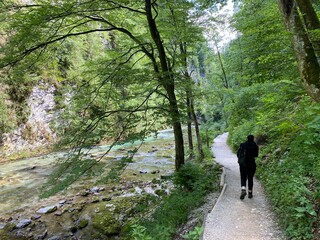 Fototapeta premium Hiking trail through Vintgar Gorge or Bled Gorge - Bled, Slovenia (Triglav National Park) - Wanderweg durch die Vintgar-Schlucht oder Vintgarklamm - Bled, Slowenien (Triglav-Nationalpark)