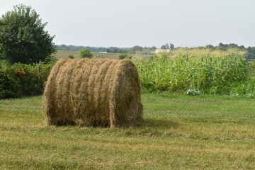 Hay Bale by a Garden