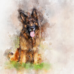 Watercolor portrait of German Shepherd dog. Hand drawn digital water color painting.