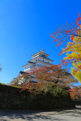 Fototapeta premium 秋の鶴ヶ城公園（福島県・会津若松市）