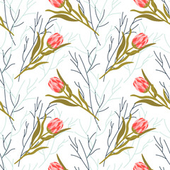 Pattern with pink protea and abstract branches. Floral pattern on a white background. Vector illustration. For use in prints, packaging, promotions, advertisements, covers and brochures, flower shops.