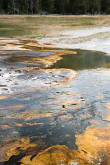 Geothermal formations in Yellowstone National Park. 